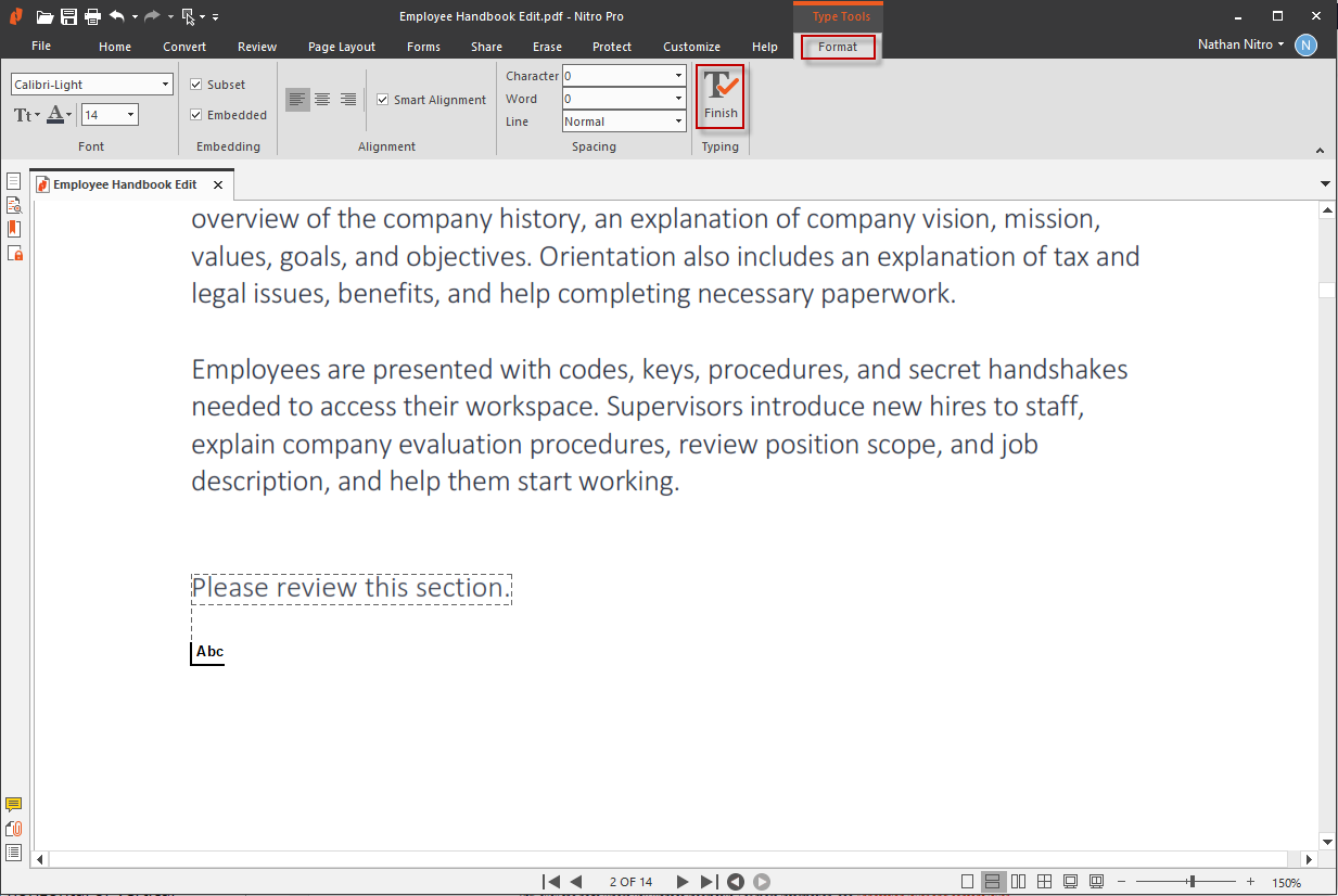 Type Text Start 2.png